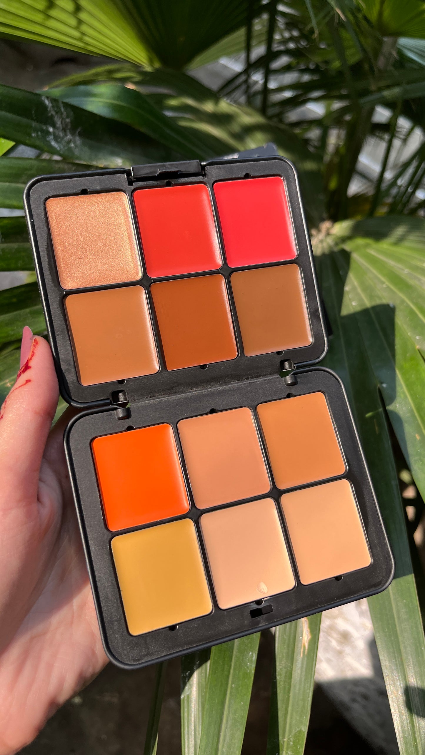 Carla Secret Concealer & Blush & Highlighter Palette