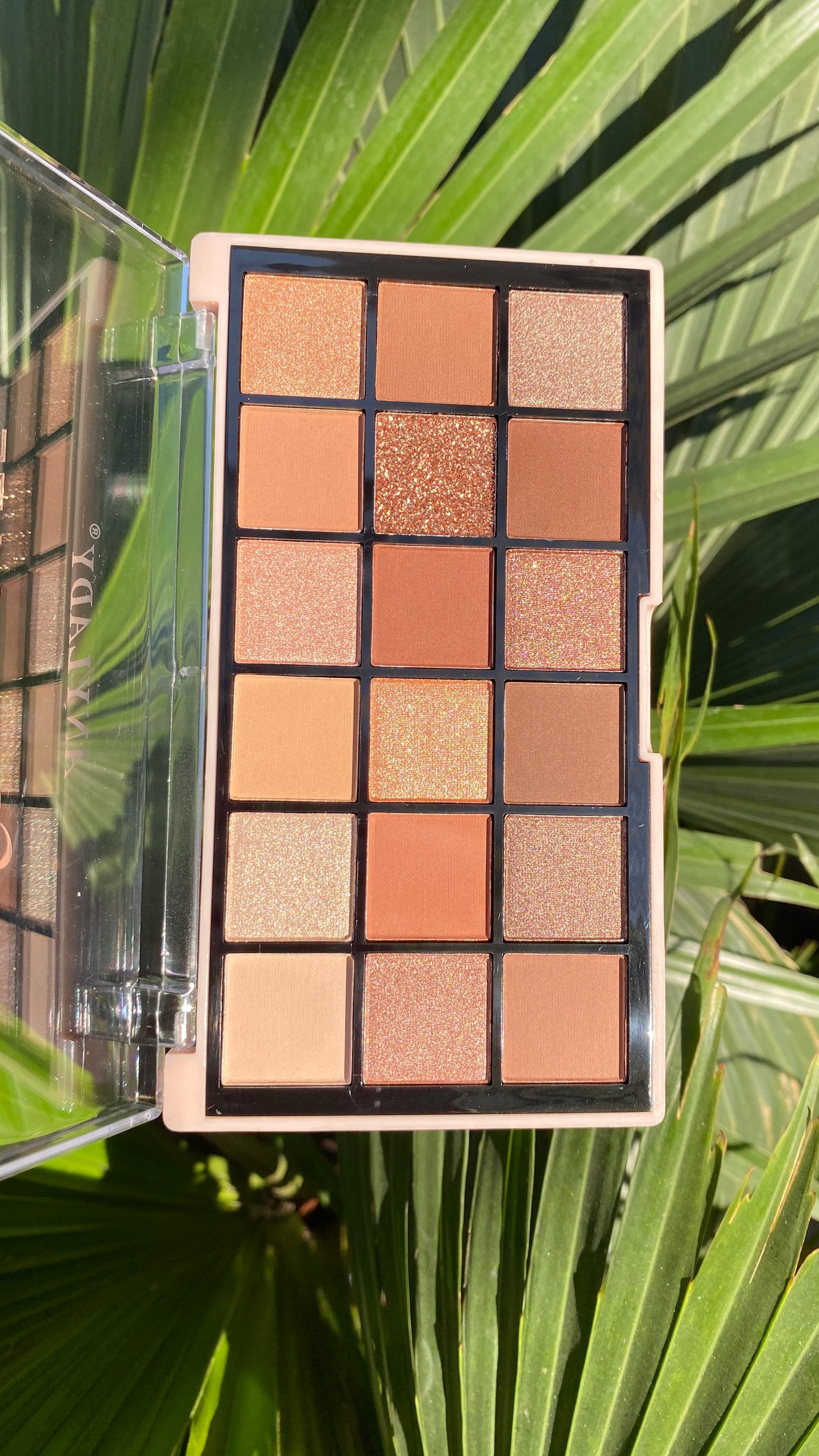 Anylady Sultry Gaze 18 Color Eyeshadow