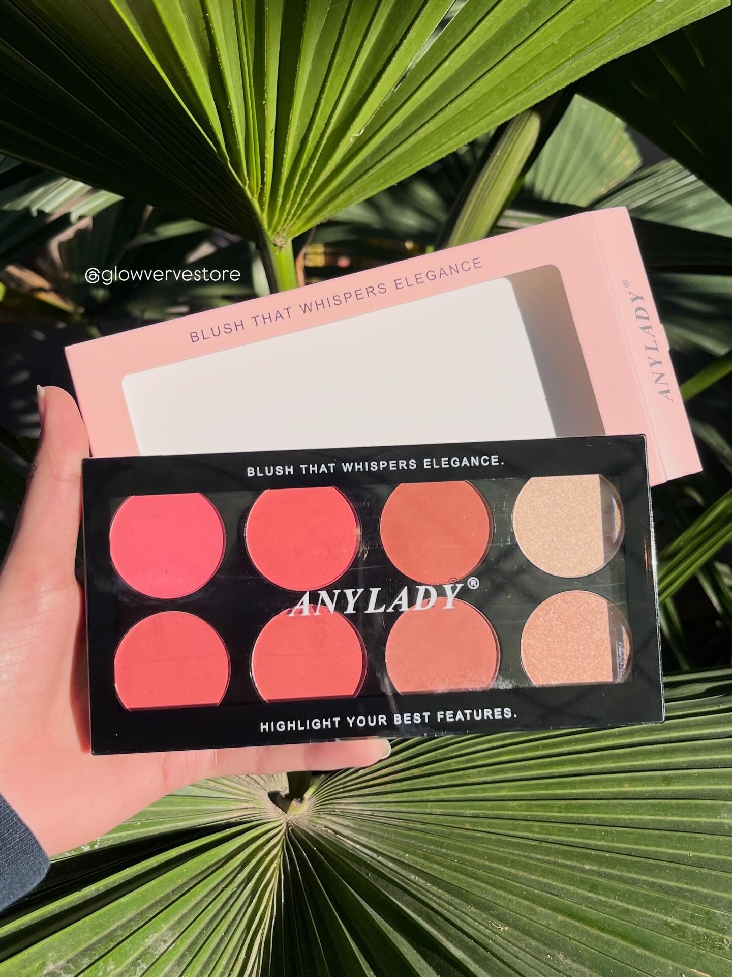 Anylady Blush & Highlighter Palette