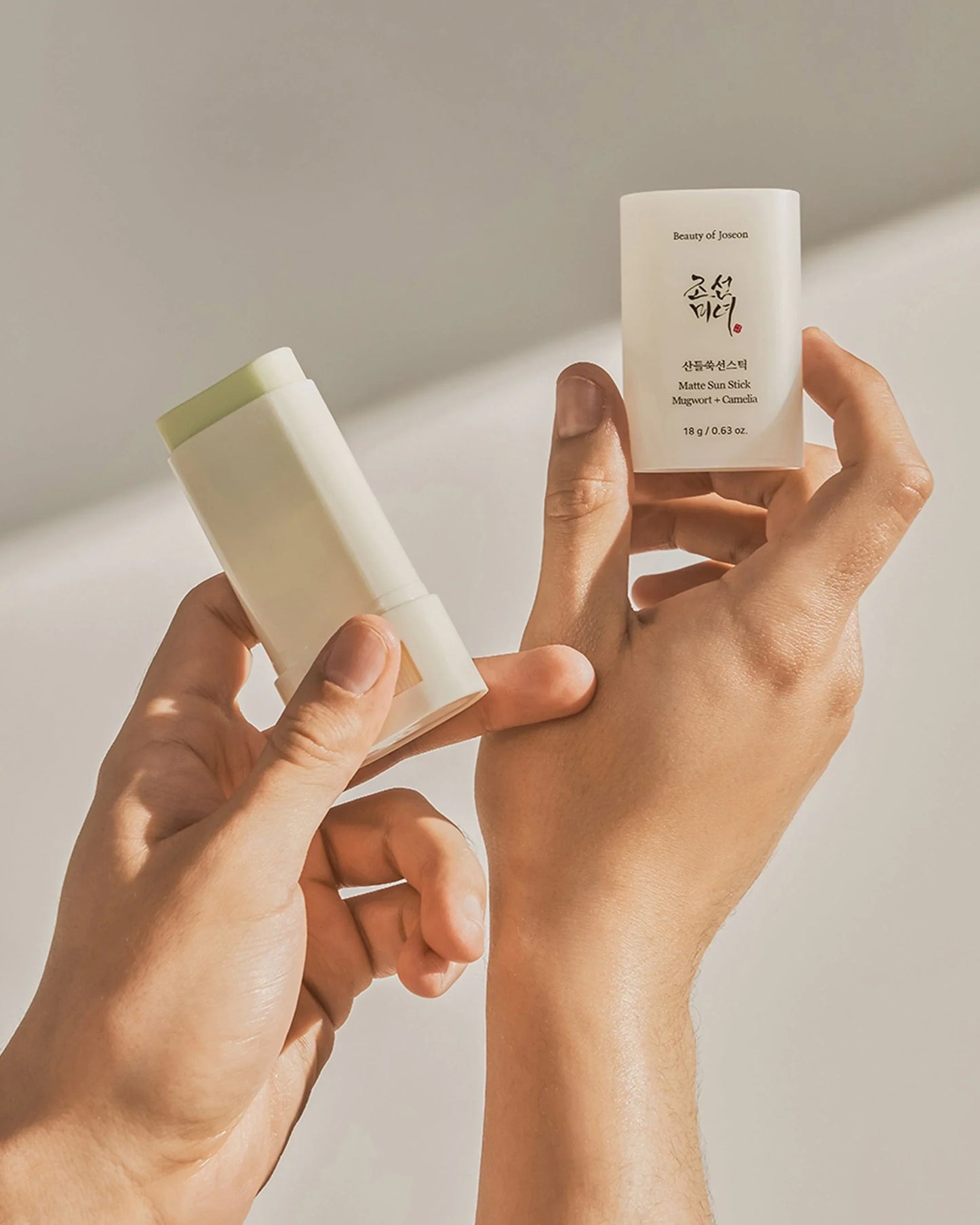 Beauty Of Joseon - Matte Sun Stick (Mugwort+Camilia) SPF 50