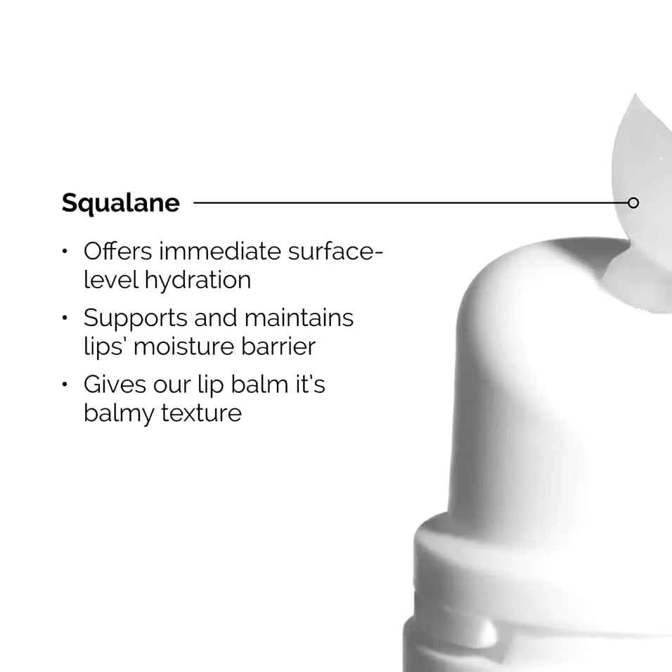 The Ordinary Lip Balm