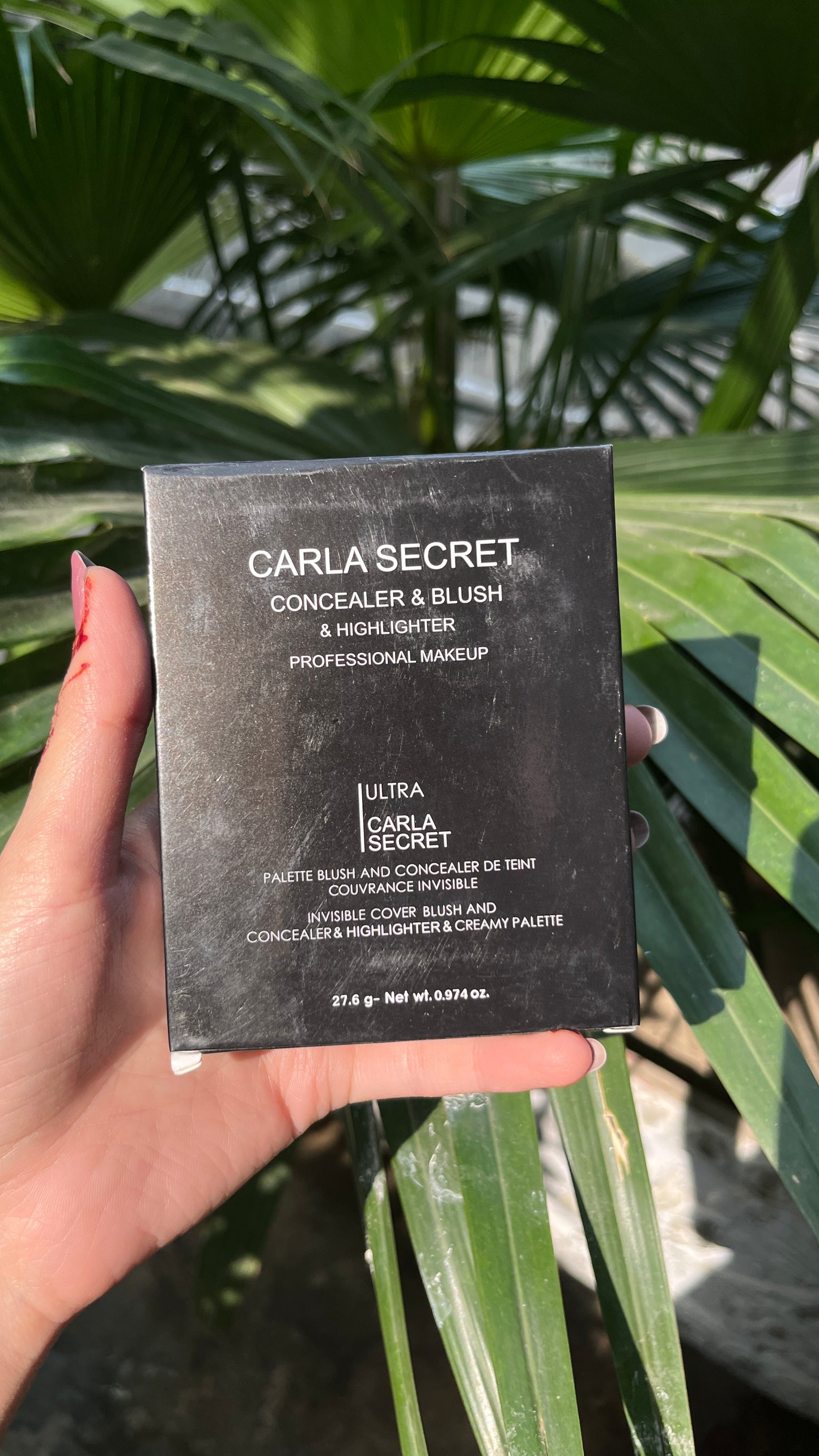 Carla Secret Concealer & Blush & Highlighter Palette