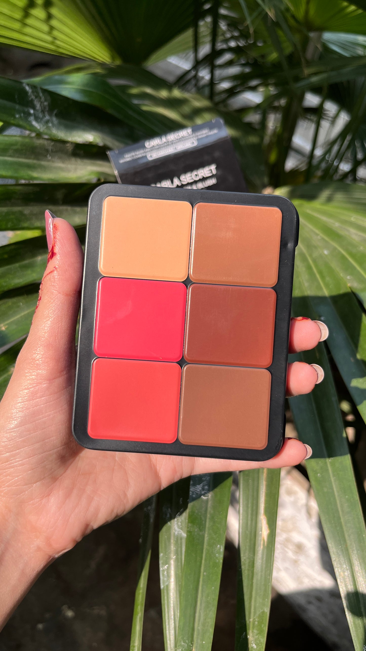 Carla Secret Concealer & Blush & Highlighter Palette