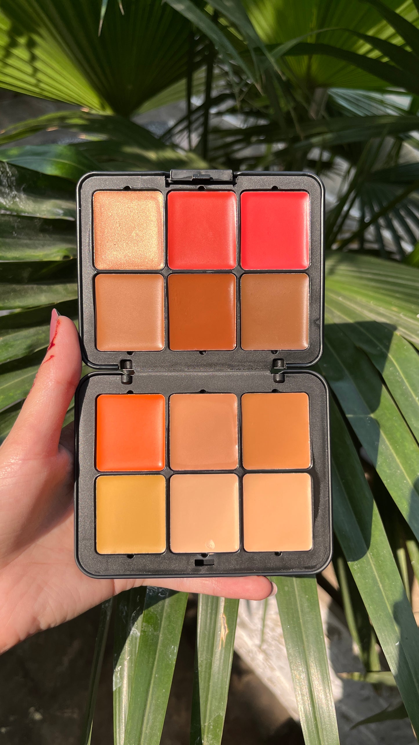 Carla Secret Concealer & Blush & Highlighter Palette