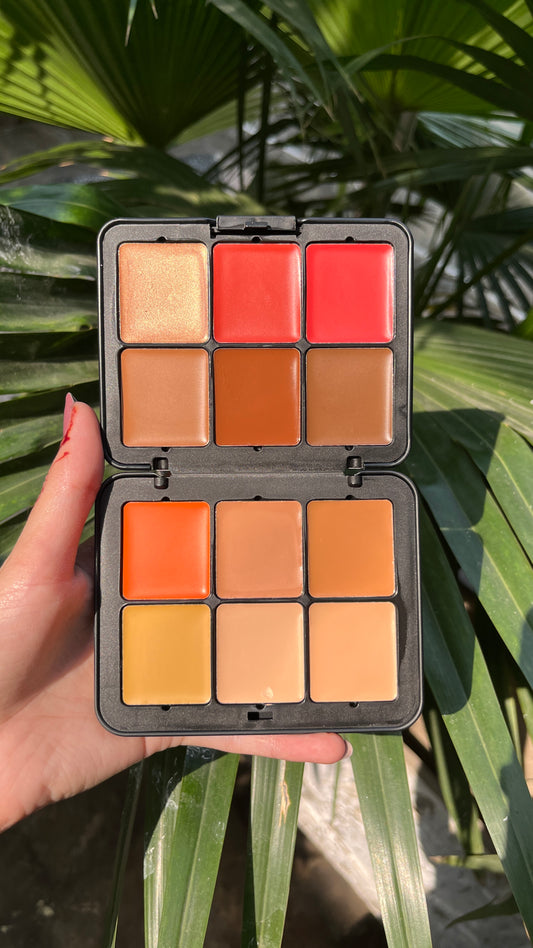 Carla Secret Concealer & Blush & Highlighter Palette