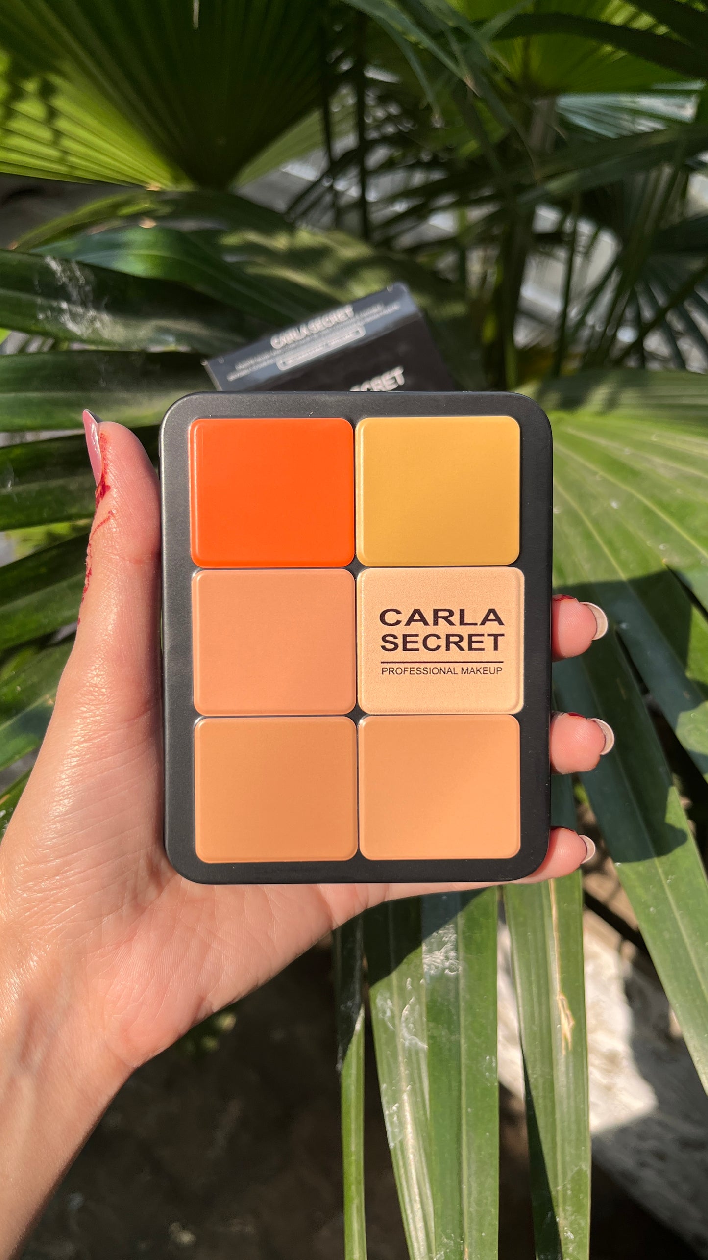 Carla Secret Concealer & Blush & Highlighter Palette