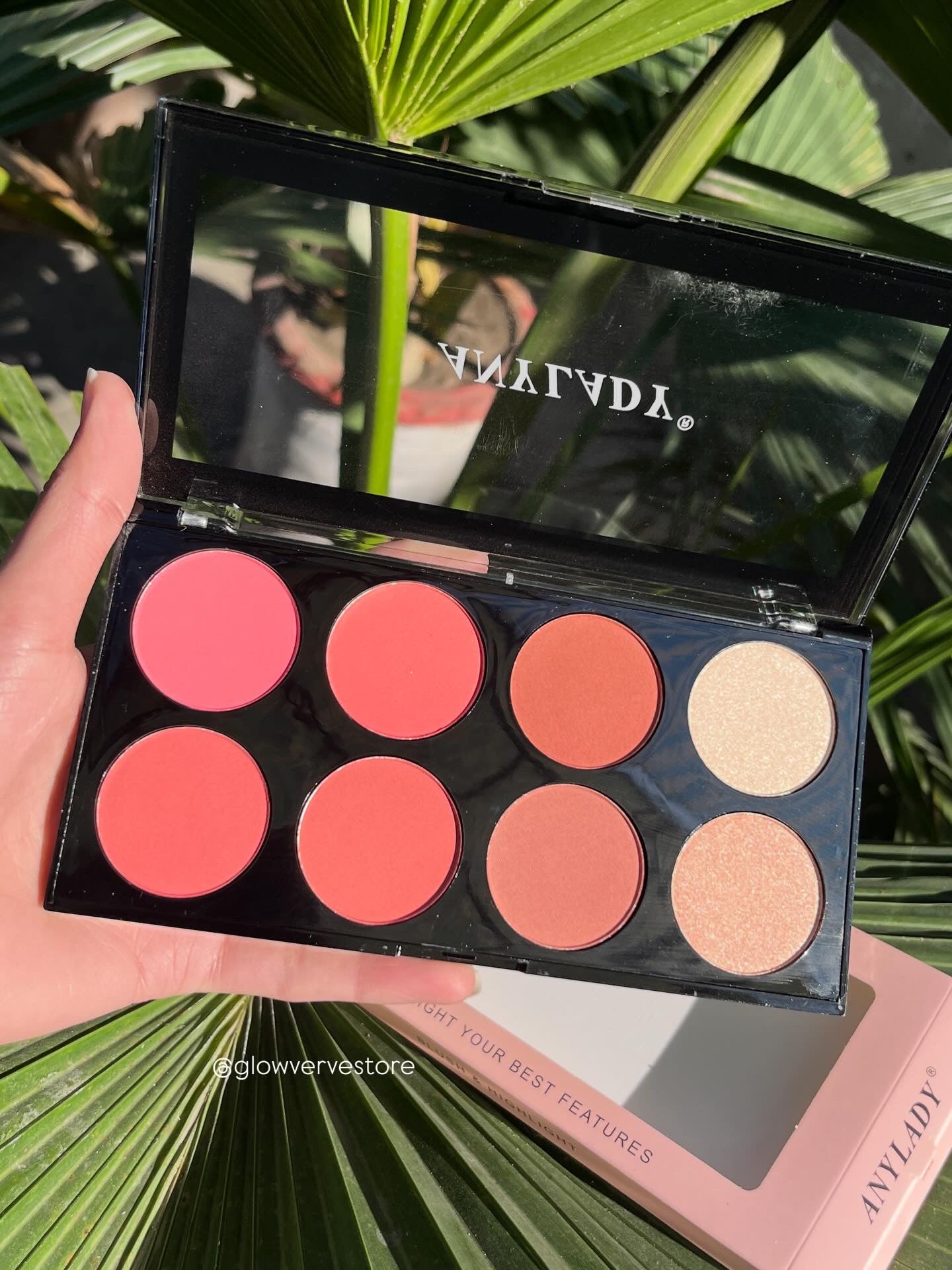 Anylady Blush & Highlighter Palette