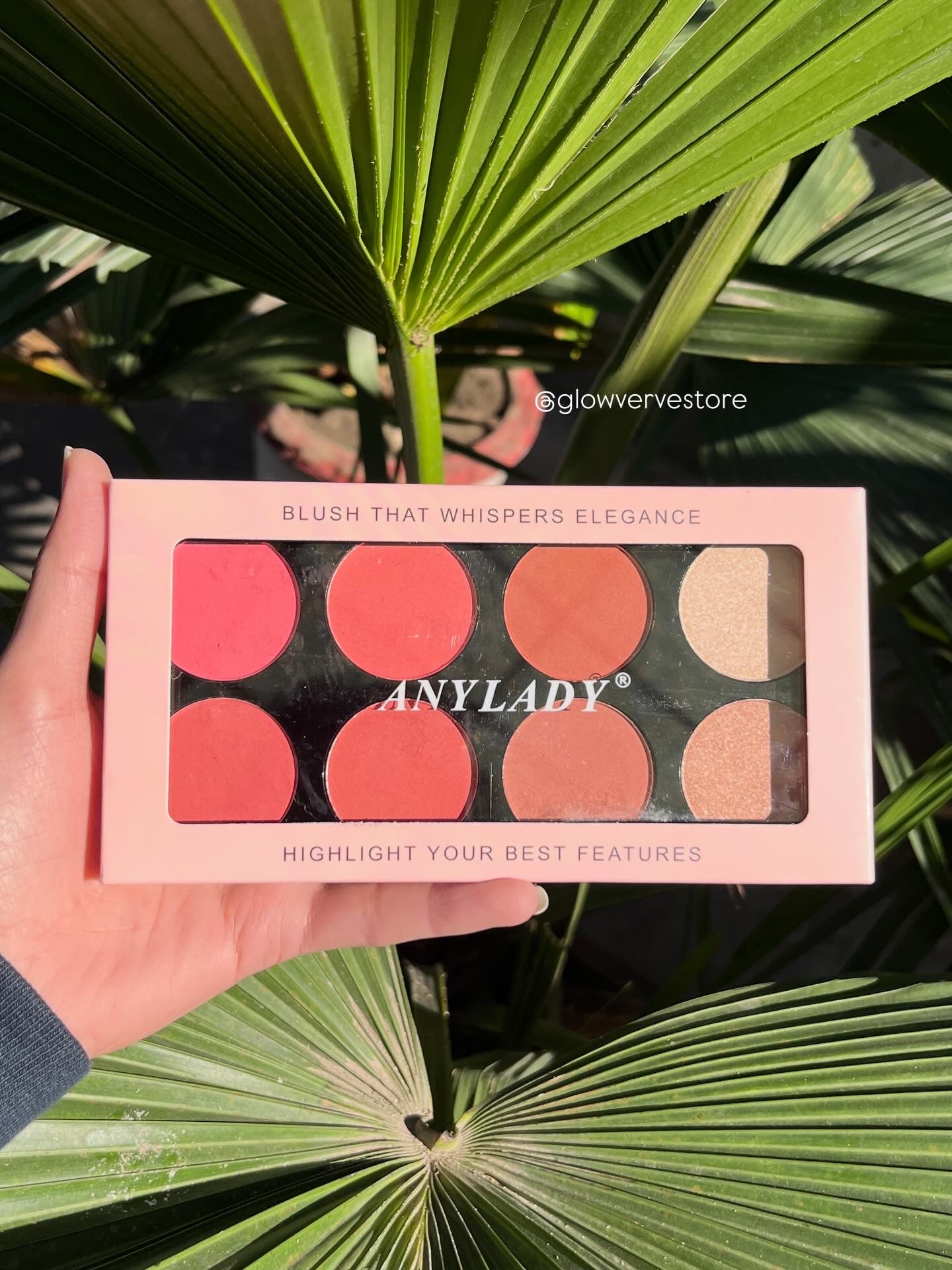 Anylady Blush & Highlighter Palette